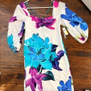 Anthropologie Dress NWT